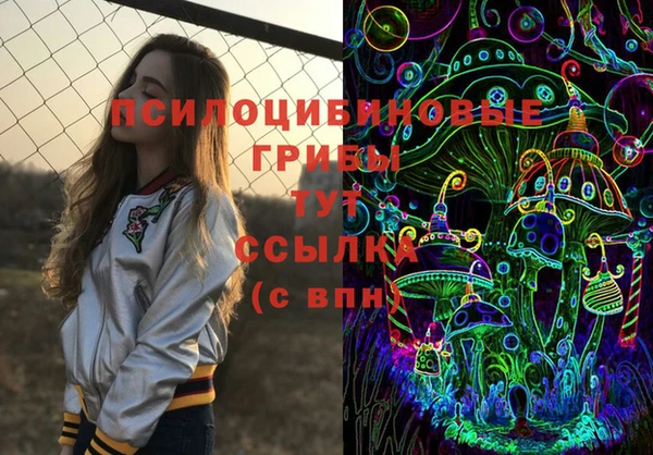 шишки Богданович